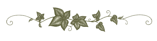IVY decoration.png